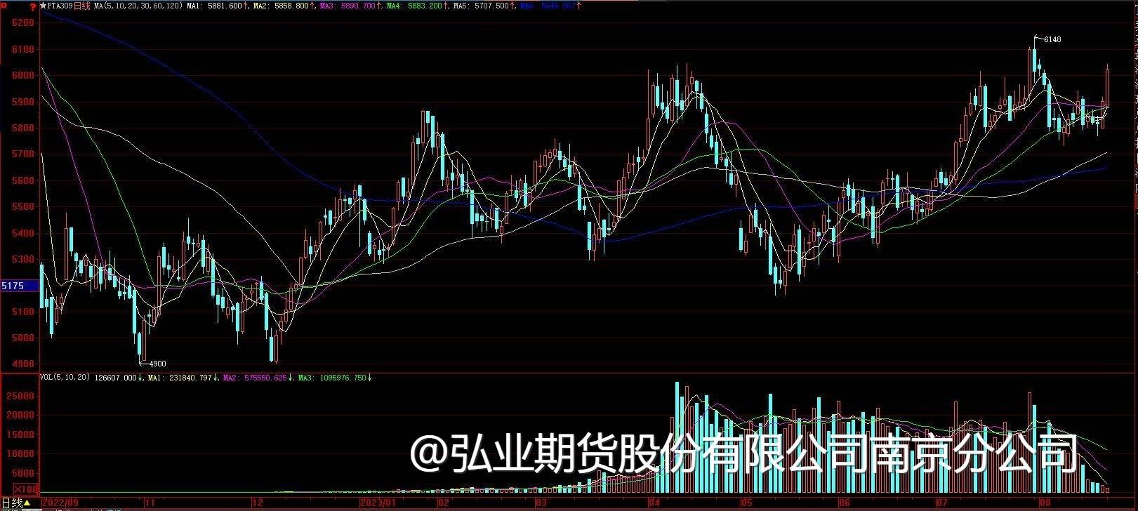 【每日资讯】2023-08-21