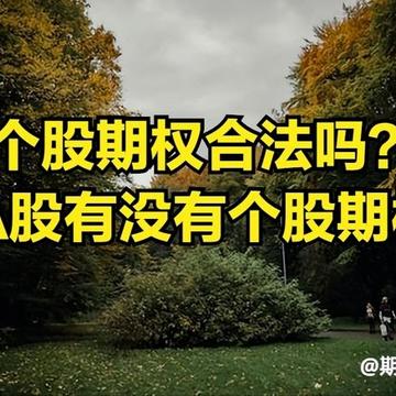 在哪里可以玩个股期权?